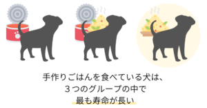画像に alt 属性が指定されていません。ファイル名: doguhu^rdo-2-1-1-e1597981482735-300x156.png
