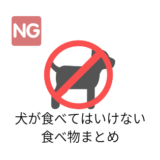 犬が食べてはいけない食べ物まとめ