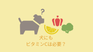 犬にもビタミンb群は必要 解説まとめ チワワごはん