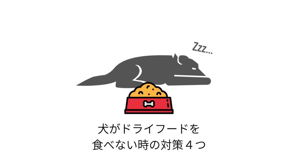 犬がドッグフードを食べない時の対策４つ 最終手段は手作り食 チワワごはん