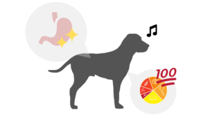オートミールは愛犬の栄養補給やお通じ対策にもなる時短食材！