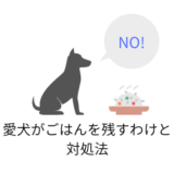 愛犬がごはんを残す理由と対処法