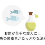 お魚が苦手な愛犬に!お魚の栄養素が豊富な油3種