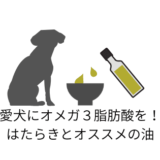 愛犬にオメガ3脂肪酸を!はたらきとオススメの油