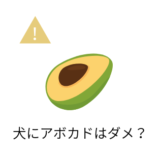 犬にアボカドを与えてはいけない?