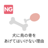 犬に鳥の骨をあげてはいけない理由