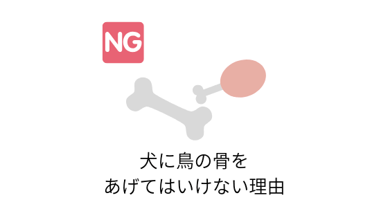 実体験あり 犬に鳥の骨はリスクが高い理由と食べてしまったときの対処法 チワワごはん