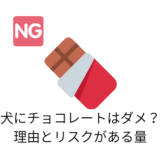 犬はチョコレートを食べてはいけない?
