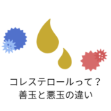 コレステロールの違い