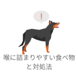 愛犬が喉に詰まりやすい食べ物と対処法