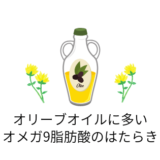 オメガ9脂肪酸のはたらき