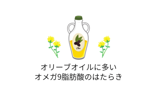 オメガ9脂肪酸のはたらき
