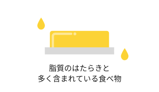 脂質のはたらき