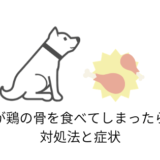 愛犬が鶏の骨を食べてしまったとき