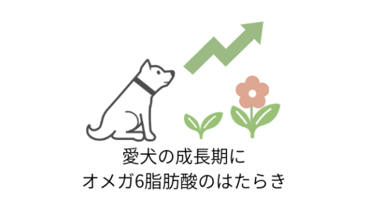 愛犬の成長期に必要なオメガ6脂肪酸のはたらき