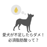 愛犬が不足したらだめ!必須脂肪酸って?