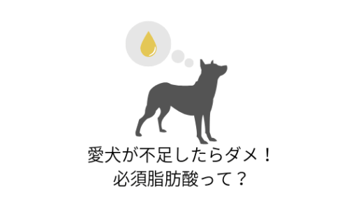 愛犬が不足したらだめ!必須脂肪酸って?