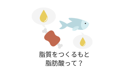脂質をつくるもと 脂肪酸って?
