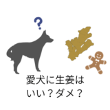 愛犬に生姜を与えてもいい?だめ?