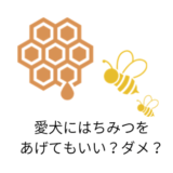 愛犬にはちみつをあげてもいい?だめ?