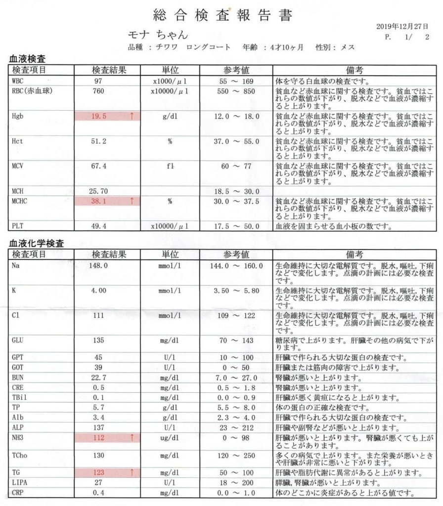モナさんの血液検査の結果