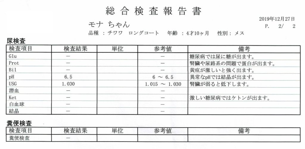 愛犬の尿と便の検査結果