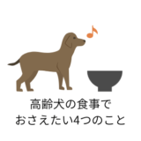 高齢犬の食事でおさえたい4つのこと