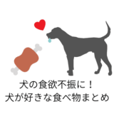 愛犬の食欲不振に!食欲増進する犬が好きな食べ物まとめ