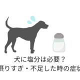 犬に塩分は必要?摂りすぎ・不足した時の症状