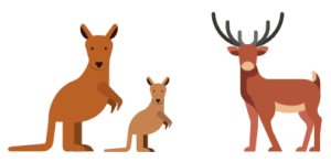カンガルー肉や鹿肉