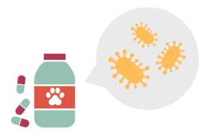 犬の腸まで生きる乳酸菌は、乳酸菌サプリでとろう