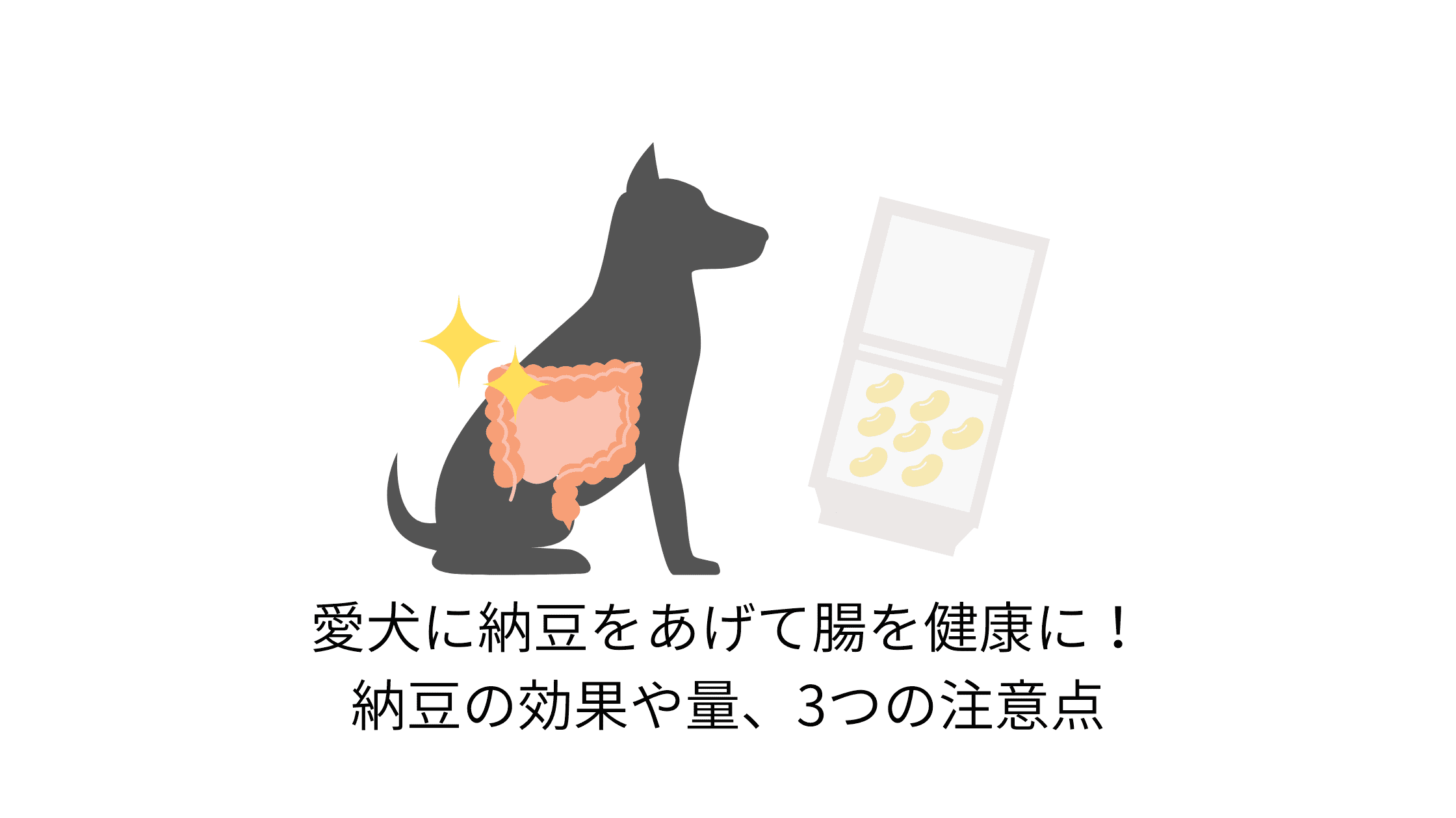 愛犬に納豆をあげて腸を健康に 栄養価の高い納豆の効果や量 3つの注意点について チワワごはん