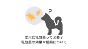 スーパーで買える 犬にいいおすすめのヨーグルト３つ チワワごはん