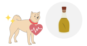 犬の健康に役立つ油はオメガ３脂肪酸を含む油