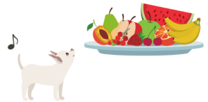 犬が食べられる果物