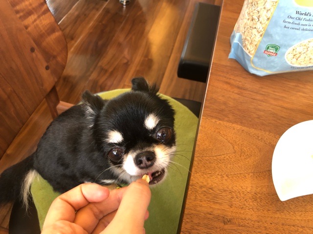 ボブズレッドミル オールドファッション　ロールドオーツを食べる犬