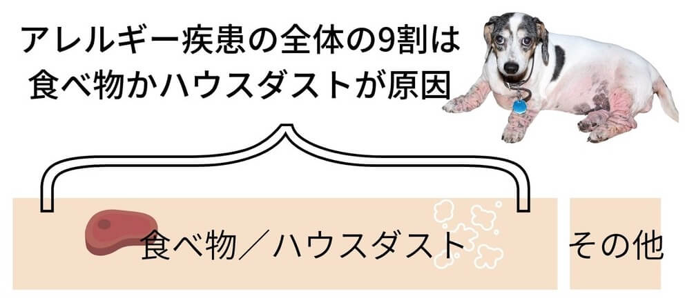 犬のアレルギーの割合