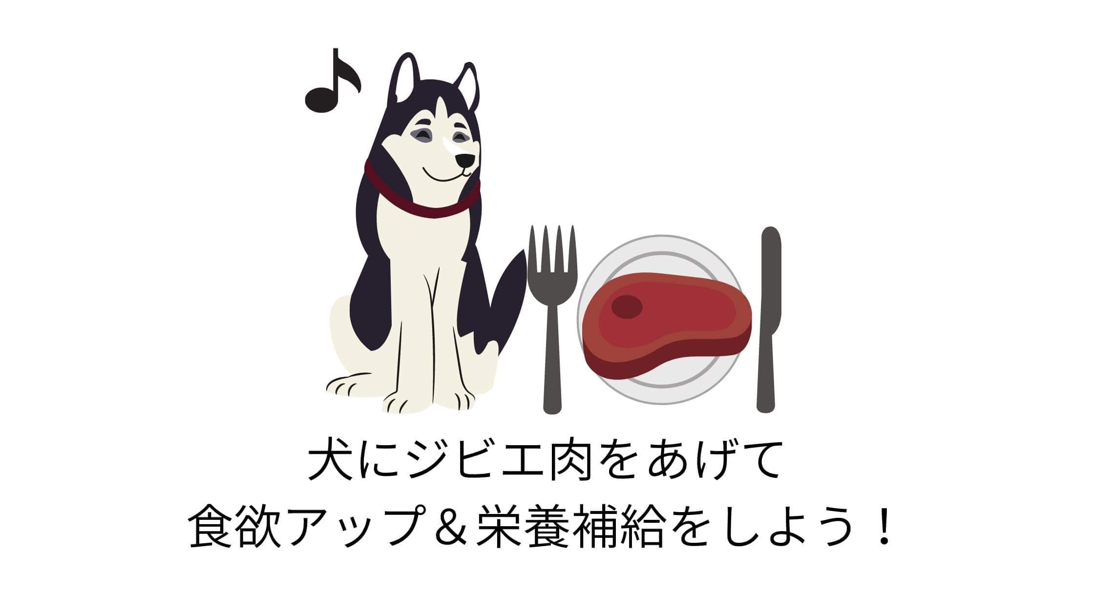 ごはんを食べない老犬にジビエ肉 鹿肉 がおすすめな理由 チワワごはん