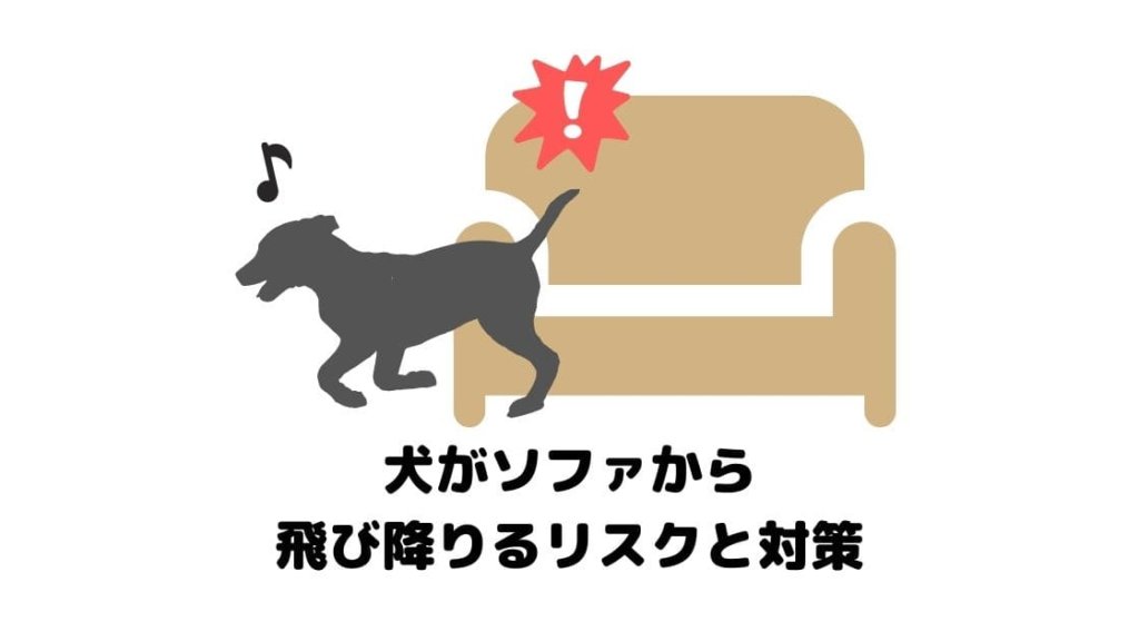 【ハラハラする】犬がソファから飛び降りるリスクと対策