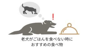 犬の手作りごはんにアボカドはいいの 中毒になる危険性は チワワごはん