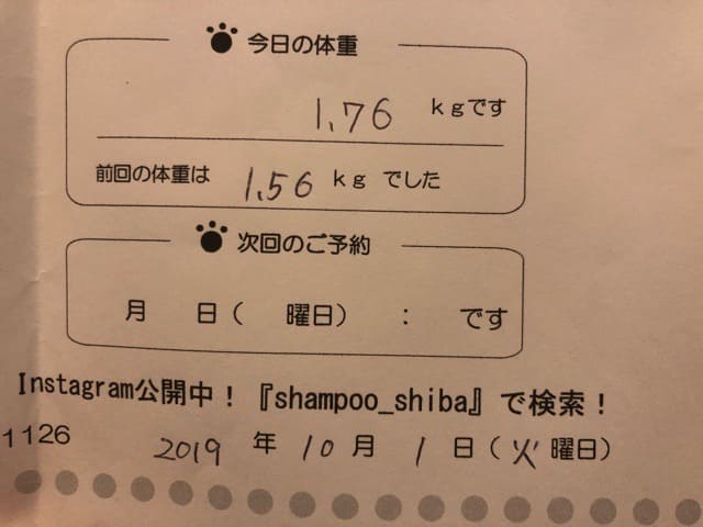 2019年10月1日のトリミングの体重測定結果