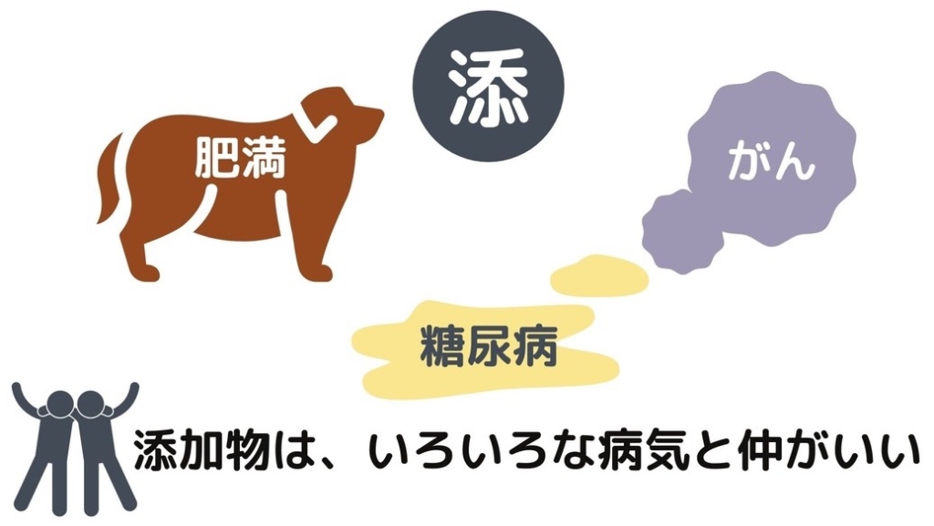 添加物はいろいろな病気と仲が良い