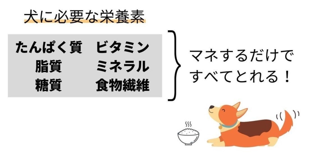 栄養バランスのいい犬のごはんの３つのコツ 初心者向け チワワごはん