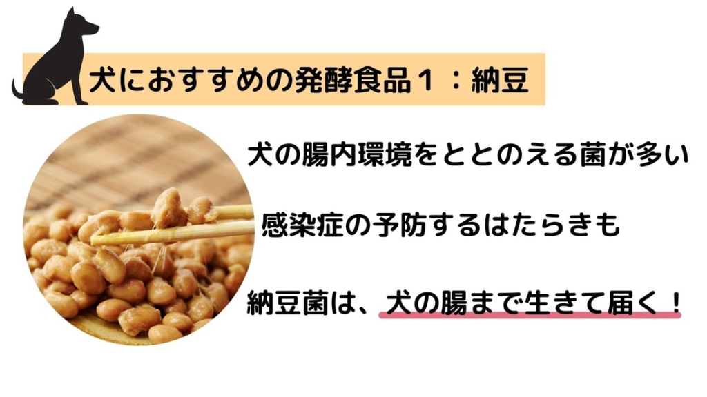 愛犬が食べられる発酵食品１：納豆