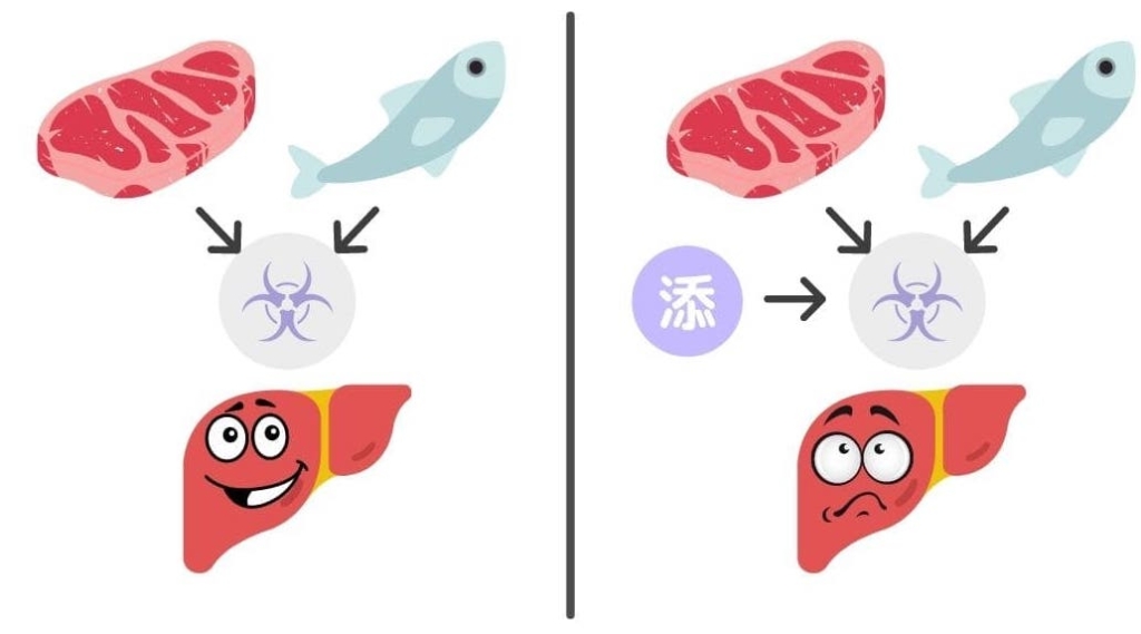 お肉、お魚、添加物と肝臓