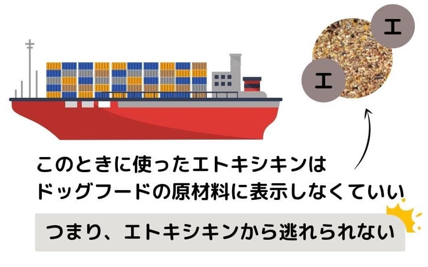 エトキシキンの問題点