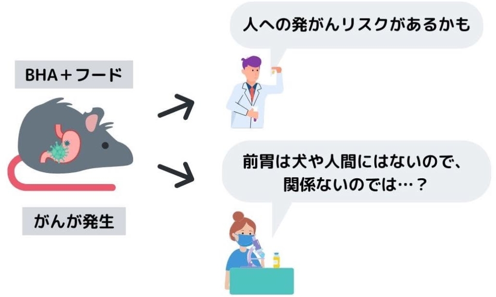 BHAとラットの実験結果