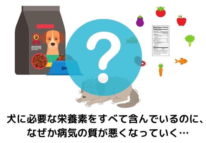 ドッグフードと犬と病気