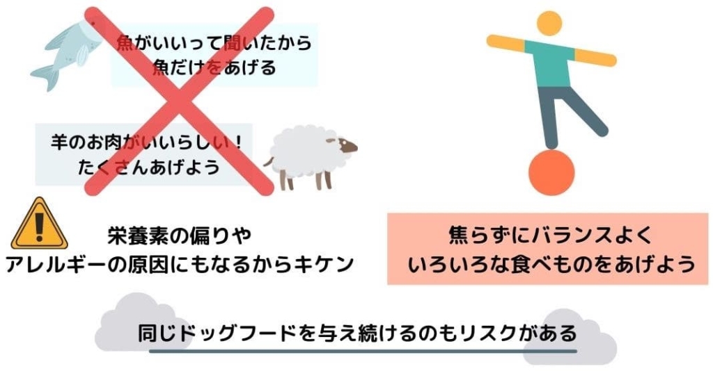 長生きできる食べ物はなく、バランスよくが一番いい
